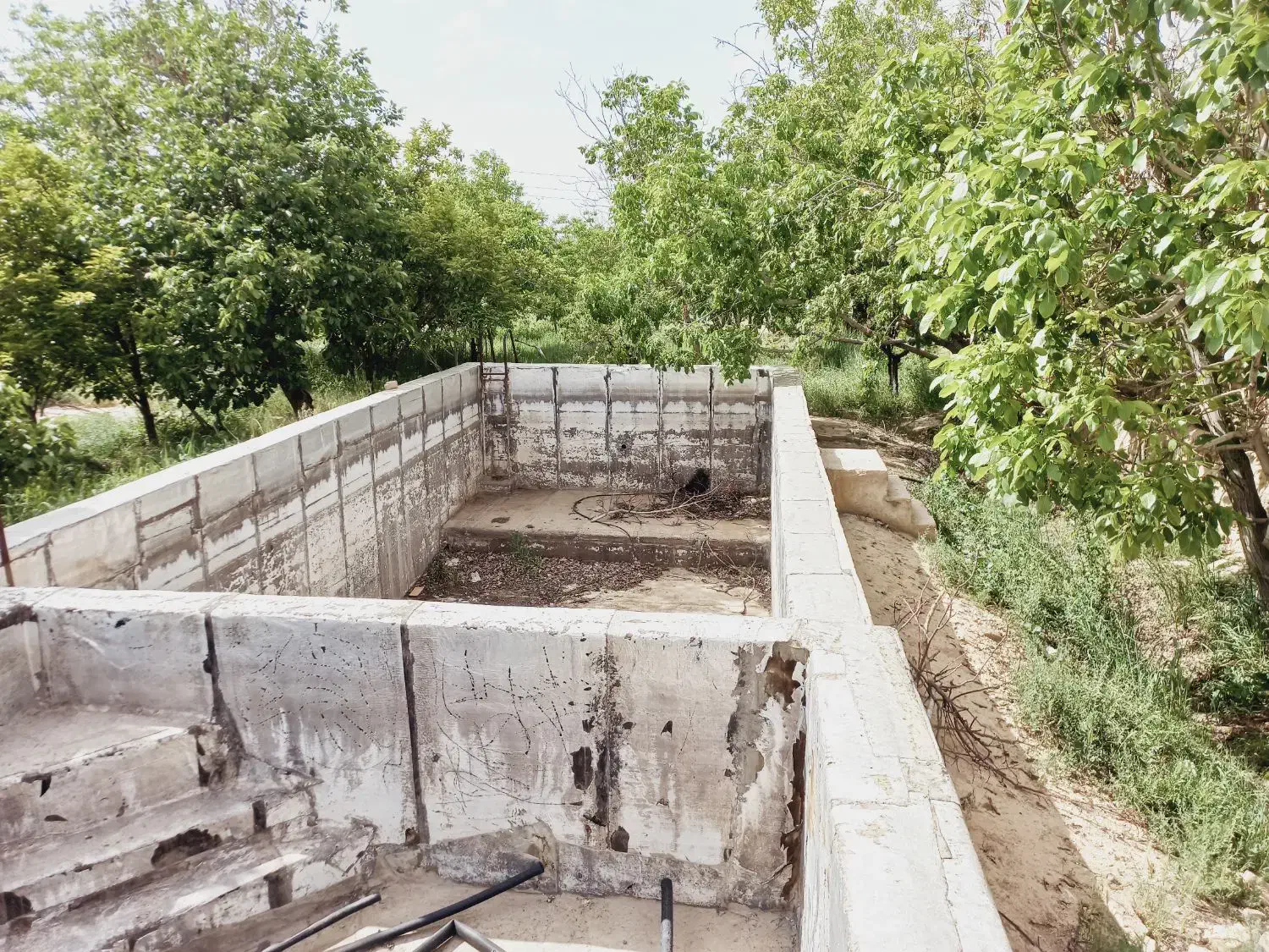 ۴۶۰۰مترباغ عرصه عیان سندتک برگ یکجاوقواره ای