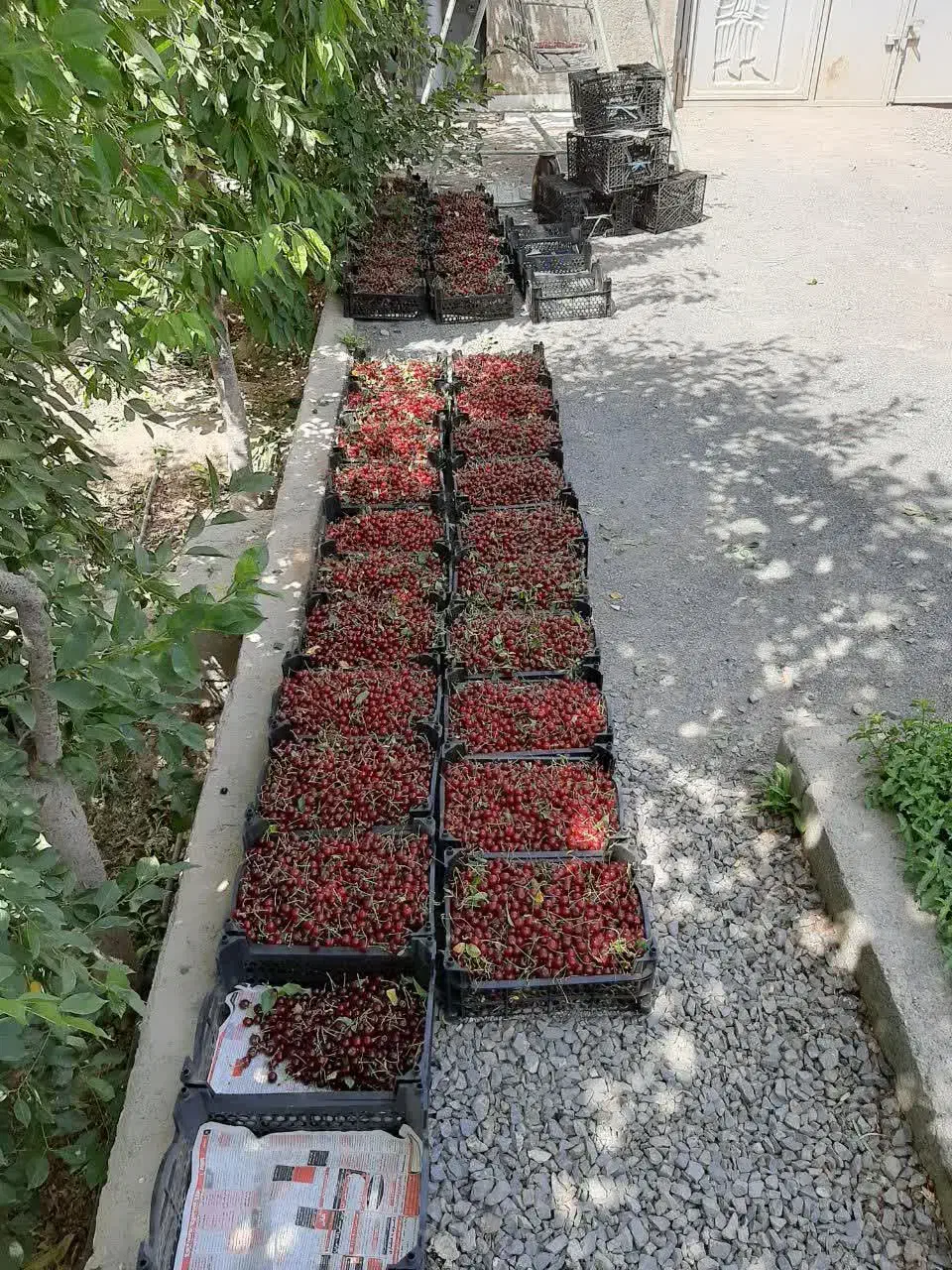باغ ویلا شهر بهاران