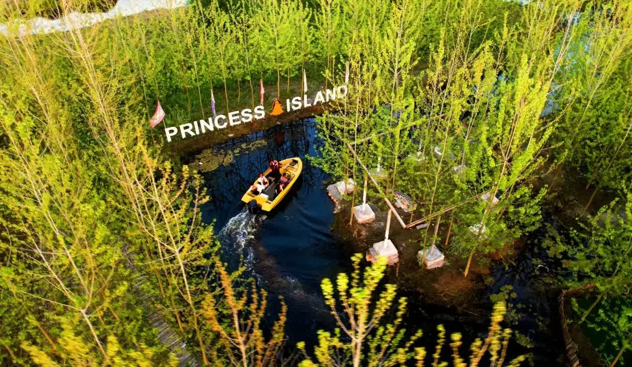 معنای واقعی حفظ سرمایه و درآمدزایی