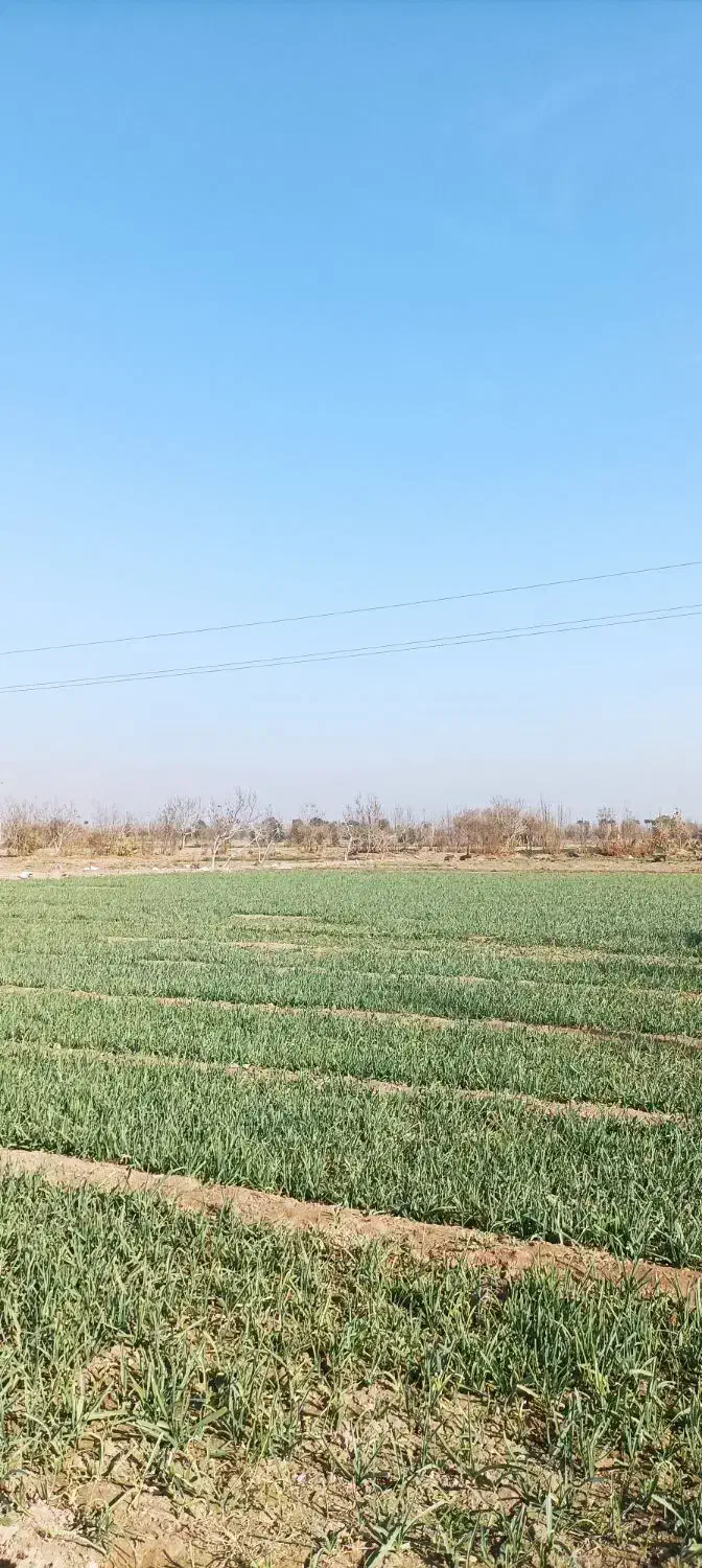 زمین کشاورزی 3000 متر