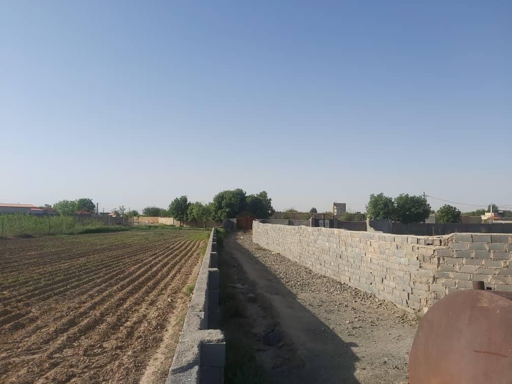 زمین کشاورزی با مجوز  آماده برای ساخت گلخانه