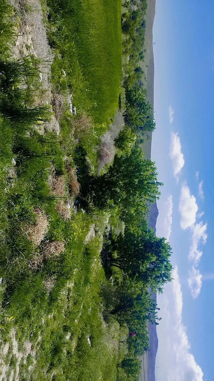باغ بادام روستای چیچک هکتاری ۹۰۰میلیون
