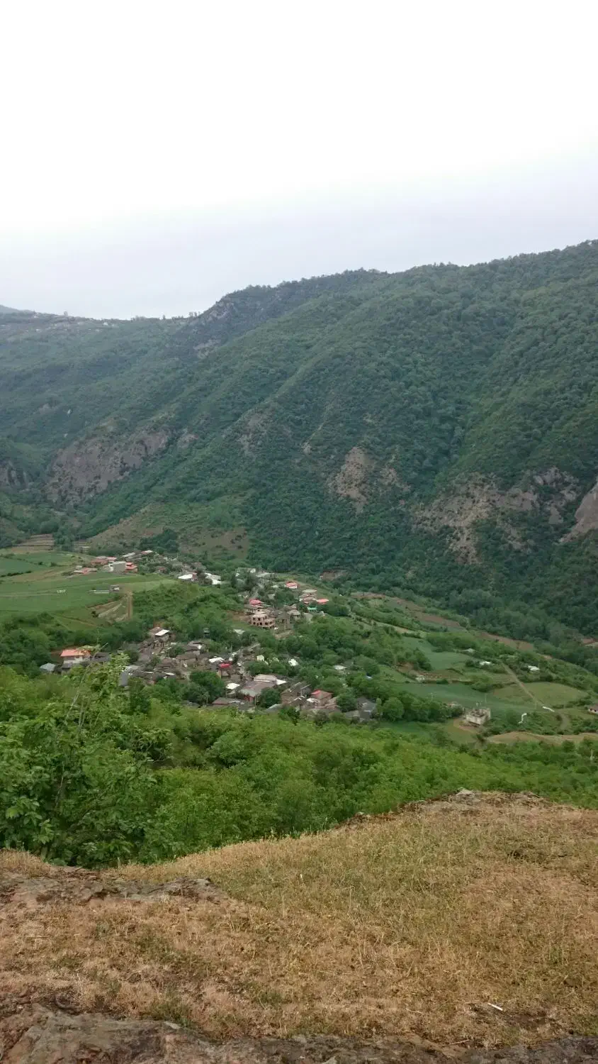 زمین باغی