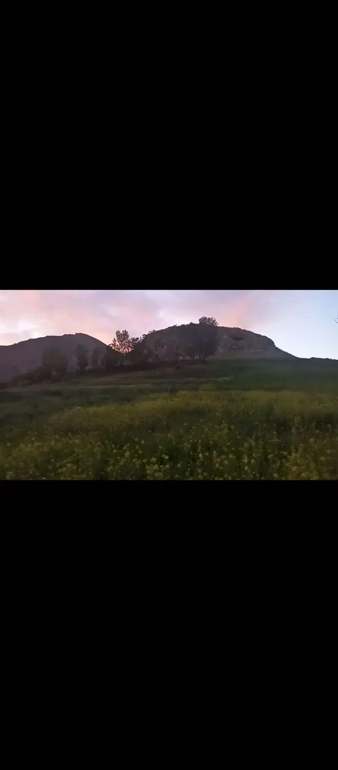 فروش زمین کشاورزی