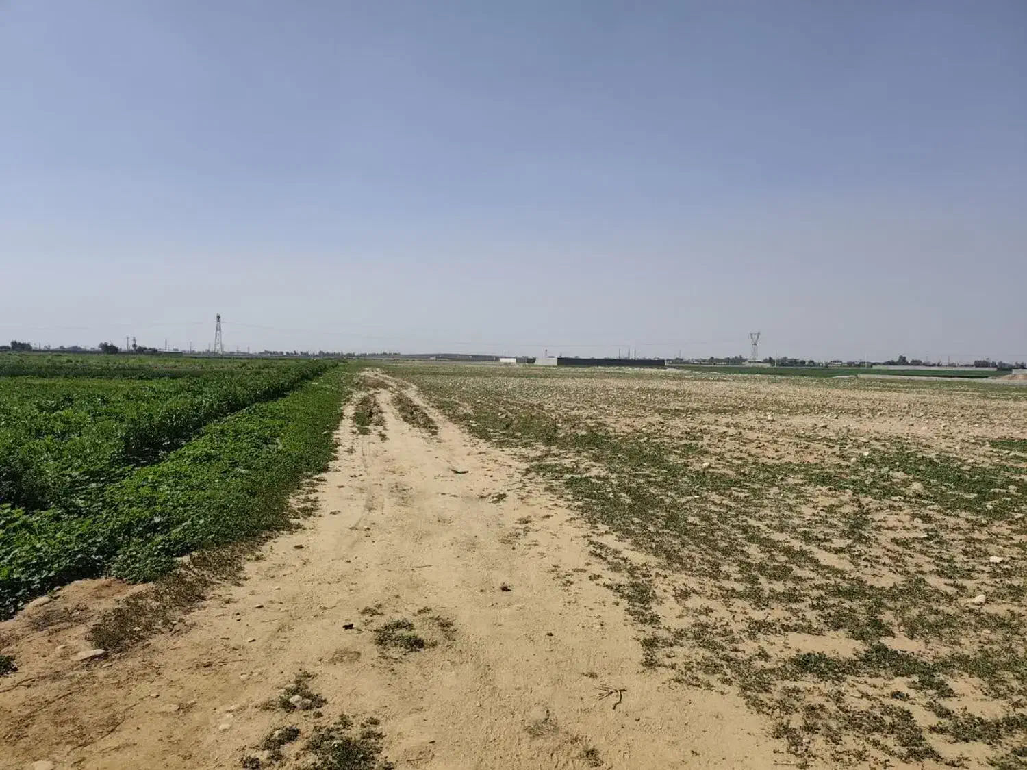 اجاره زمین کشاورزی در اندیمشک