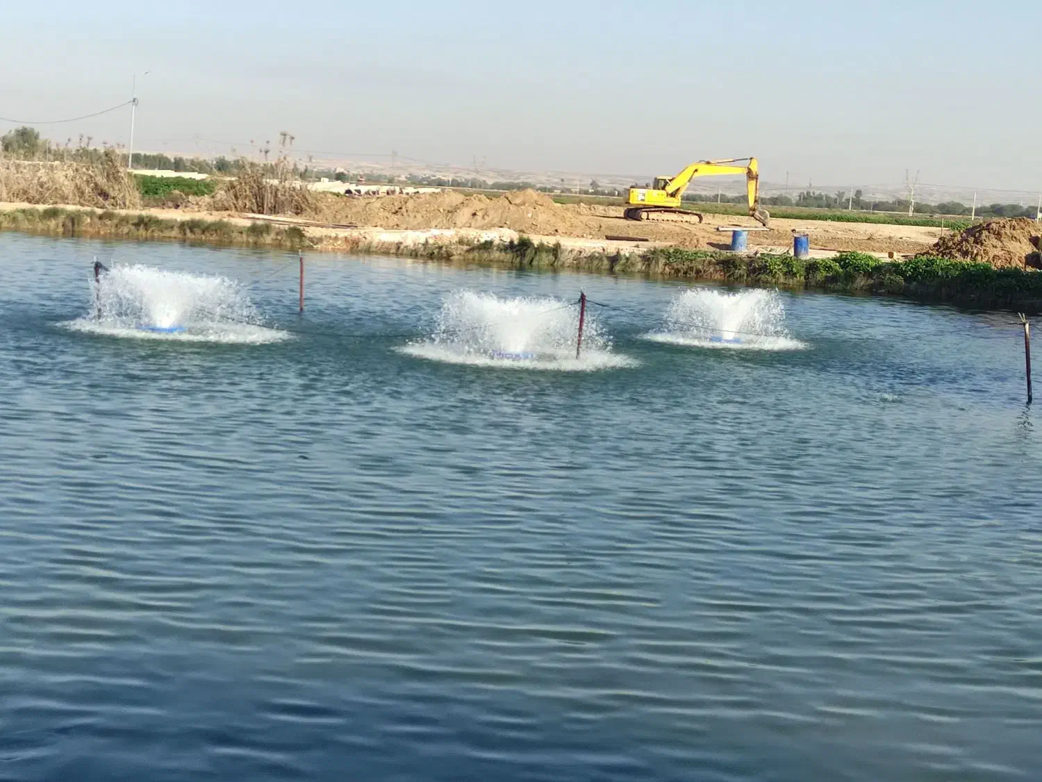 حوضچه ماهی