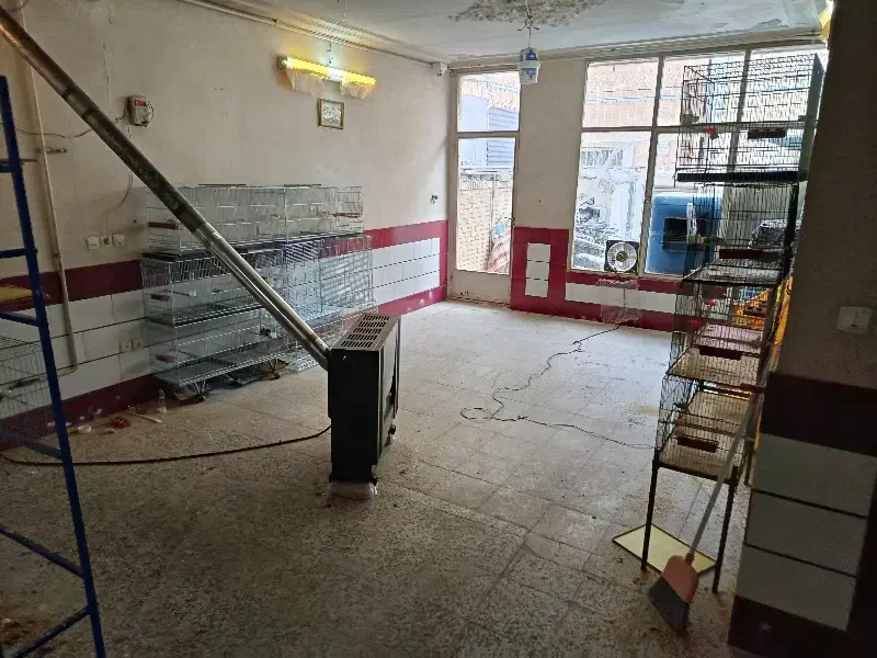 شراکت در سالن پرورش قناری