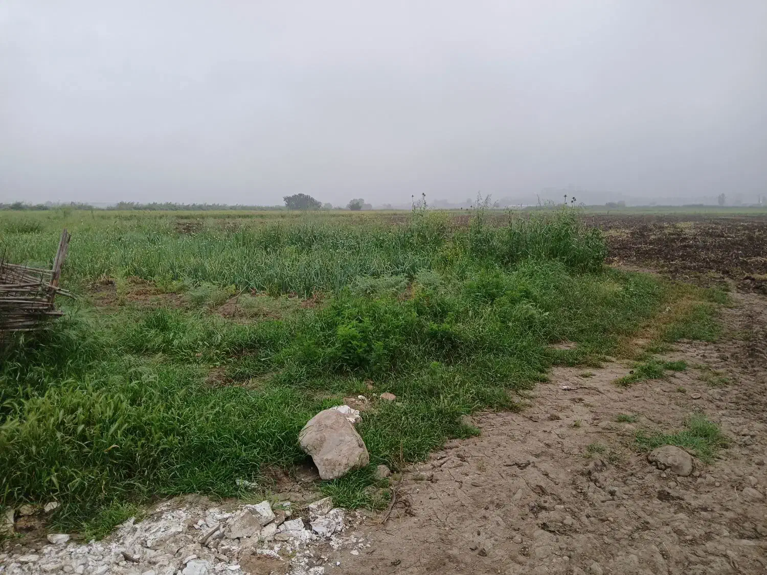 زمین روستای زیبای سرکهریزا