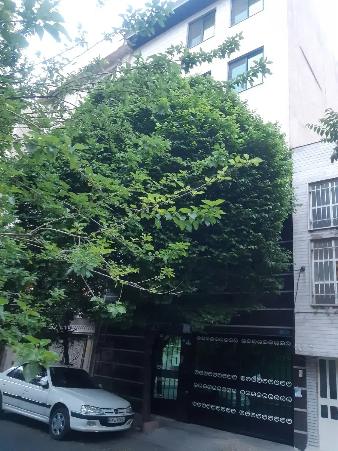 ۸۶متر شمس آباد ریحانی