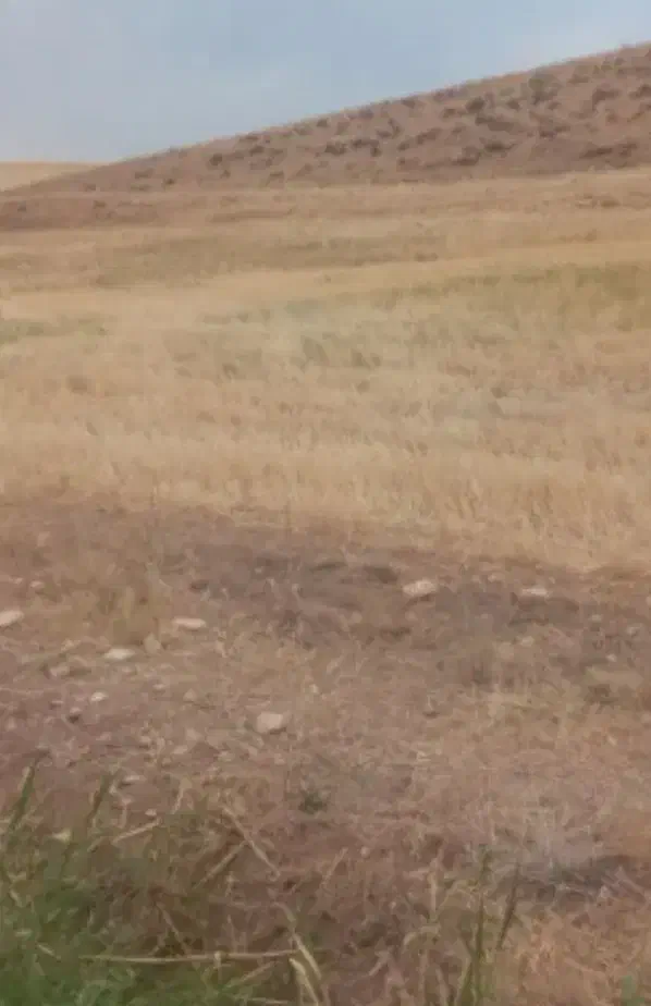 معاوضه زمین با نیسان