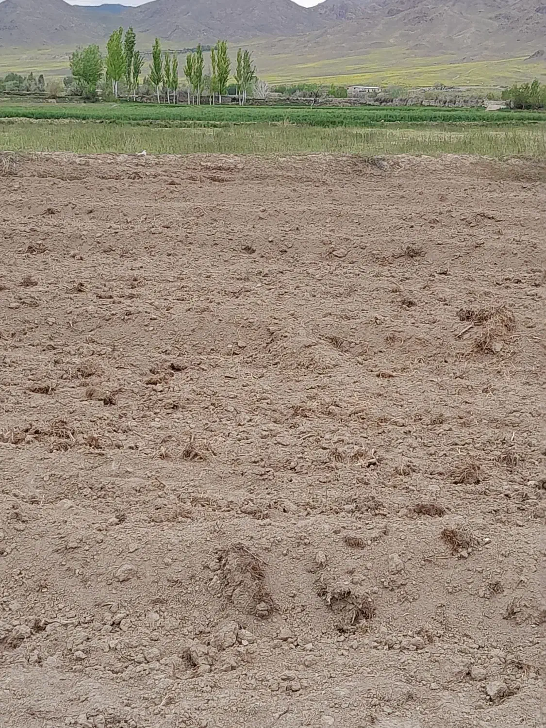 زمین‌کشاورزی