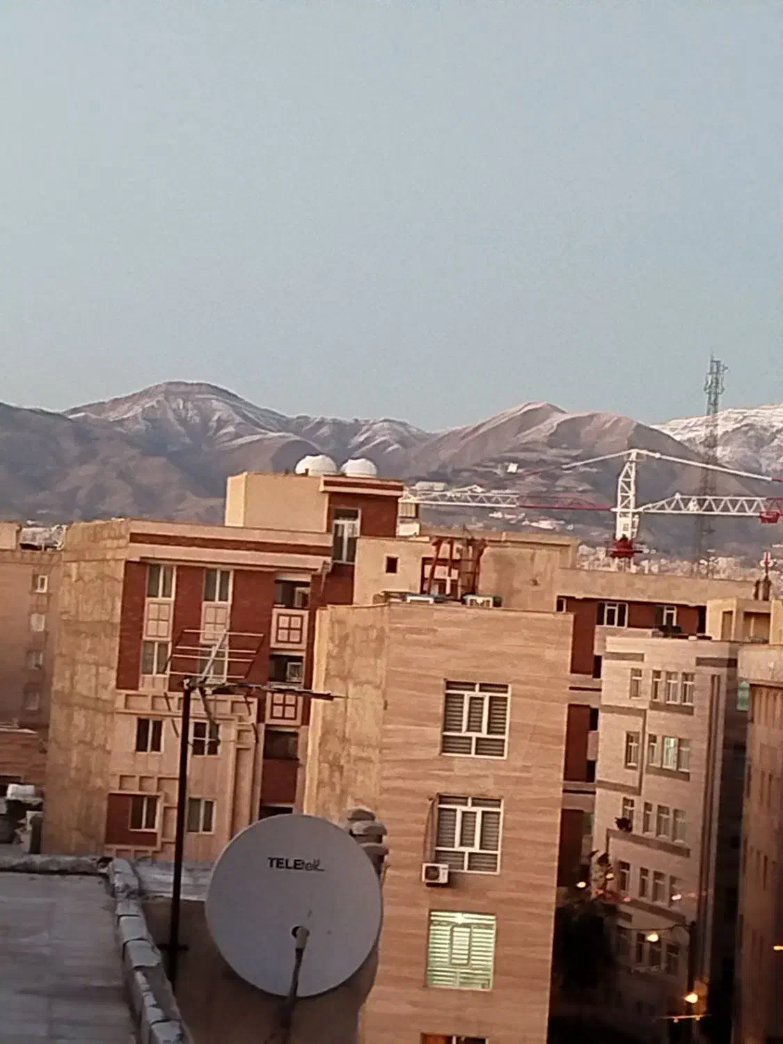 هم خونه دانشجو یاشاغل
