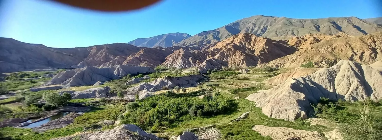 سوییت بوژان