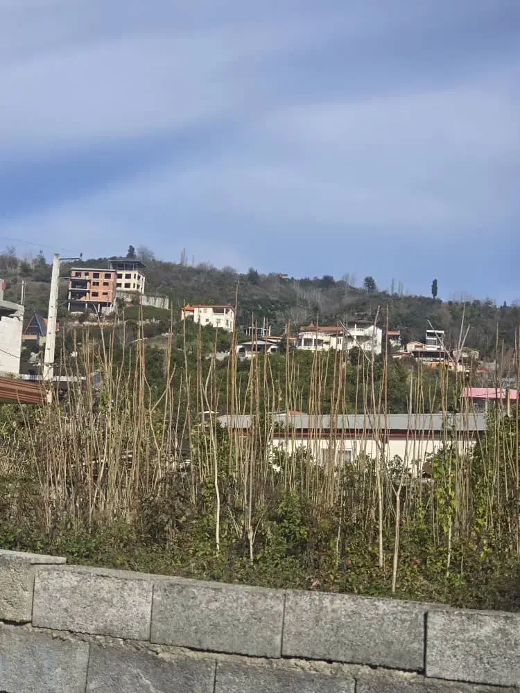 300 متر _ مازندران