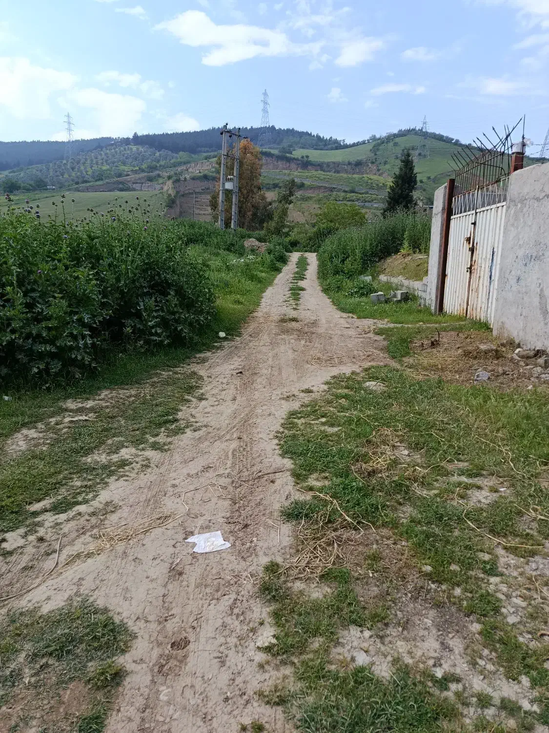 فروش زمین کشاورزی