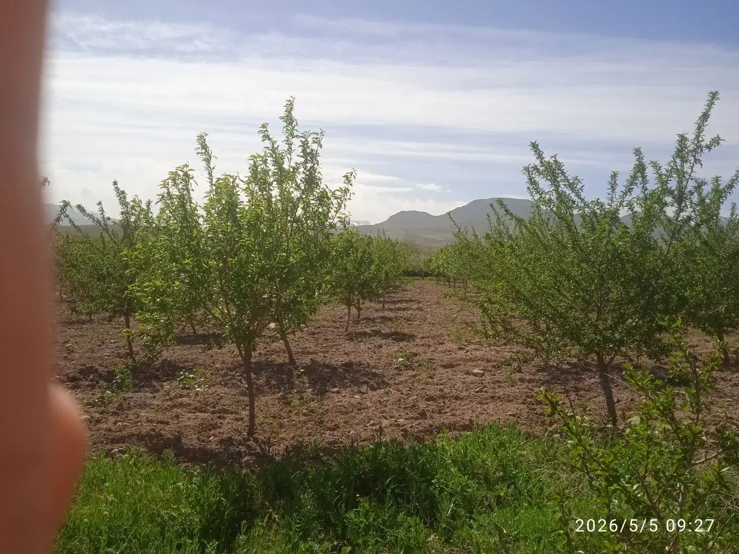 باغ و زمین کشاورزی