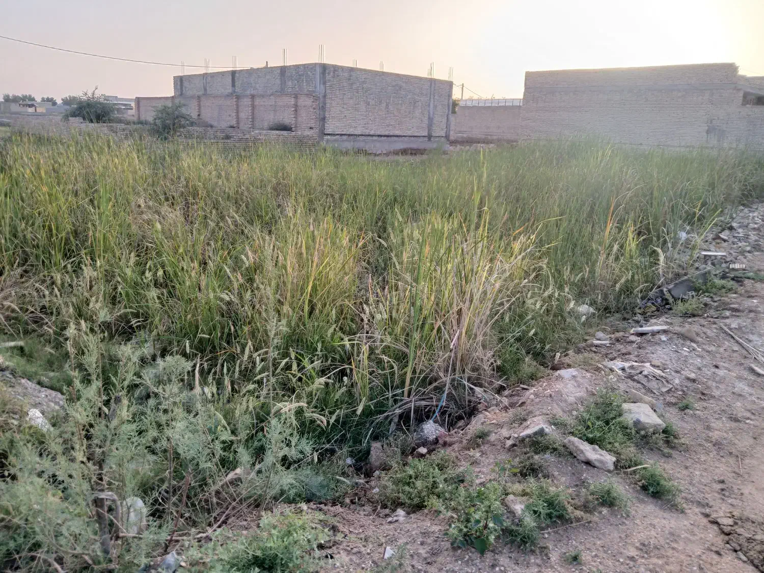 زمین ۳۰۰متری