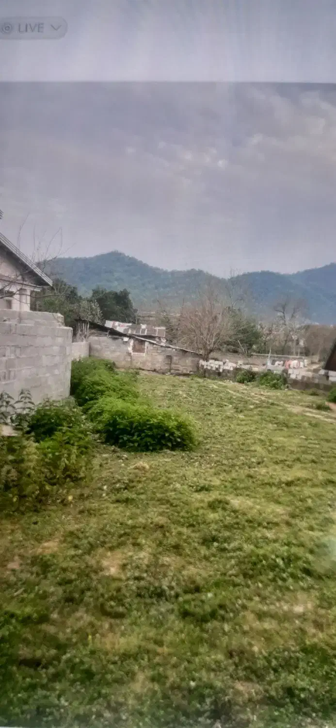 زمین