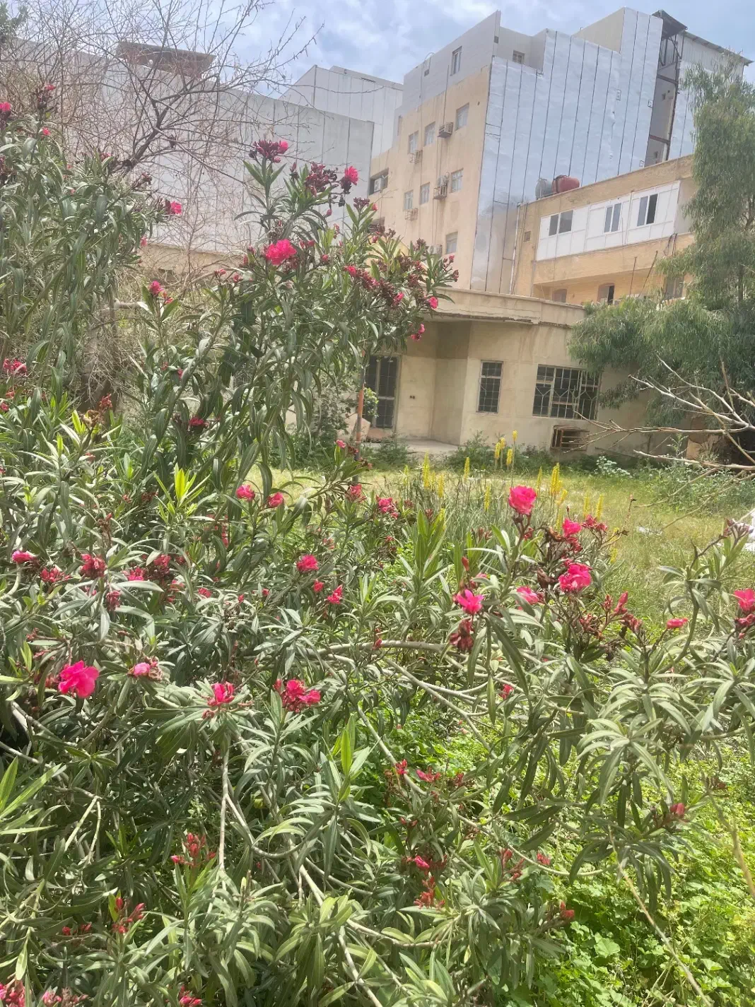 رهن ویلایی بزرگ سنگی