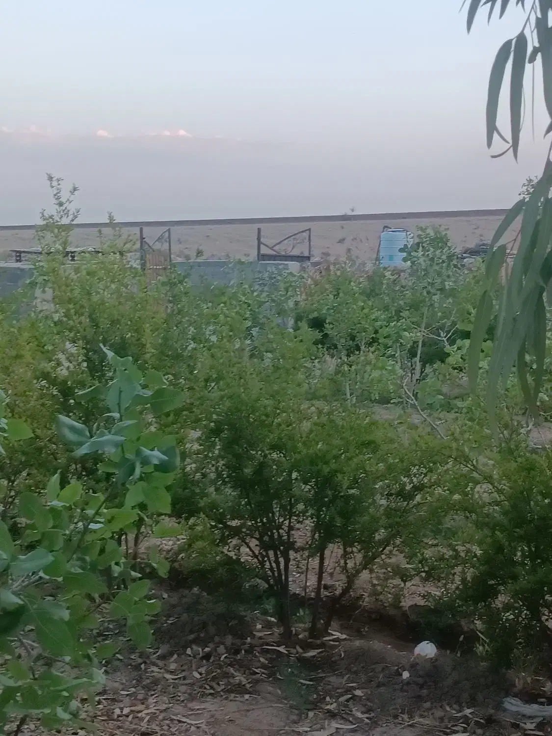 باغچه‌متراژ‌مختلف‌450.500.600.1200