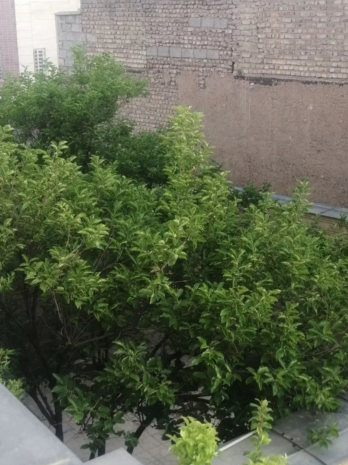 منزل مسکونی شهرک دوکوهک
