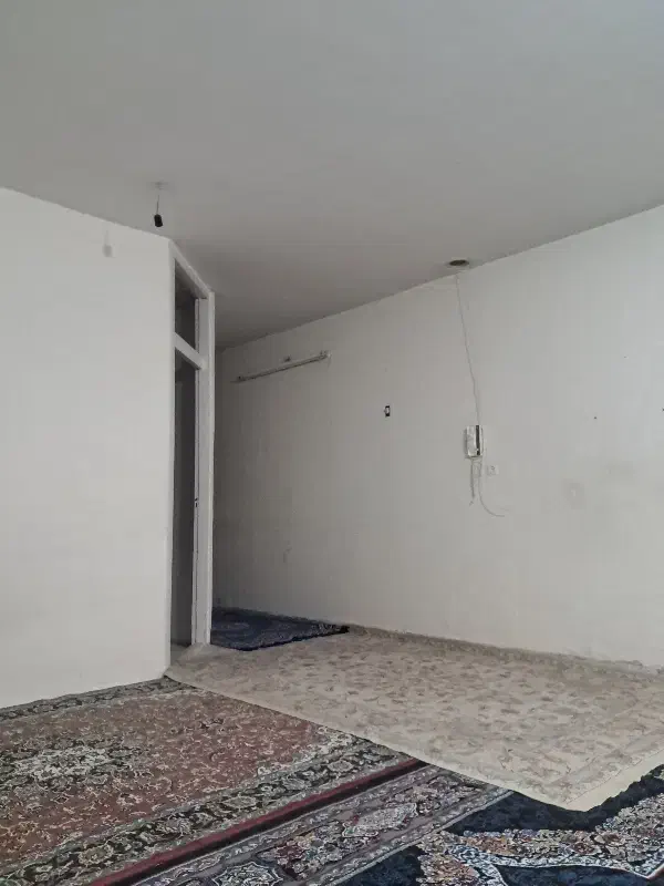 نیازمند هم خانه خانم