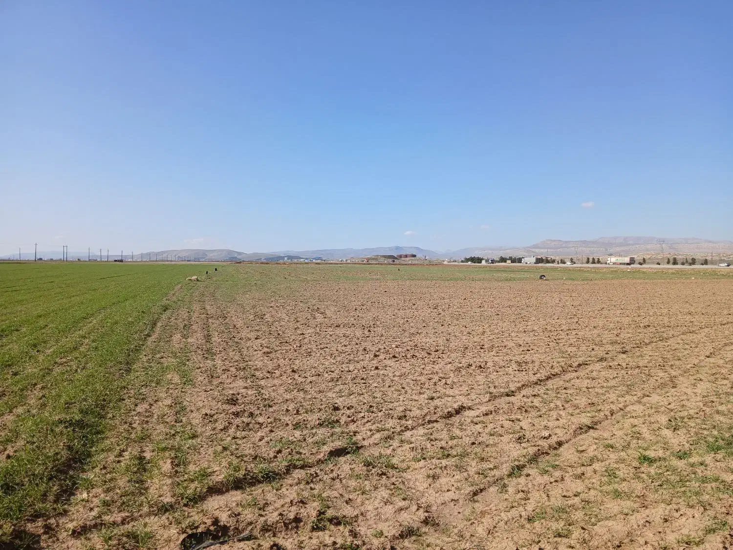 زمین کشاورزی تجراکبر دوهکتار برفرودگاه