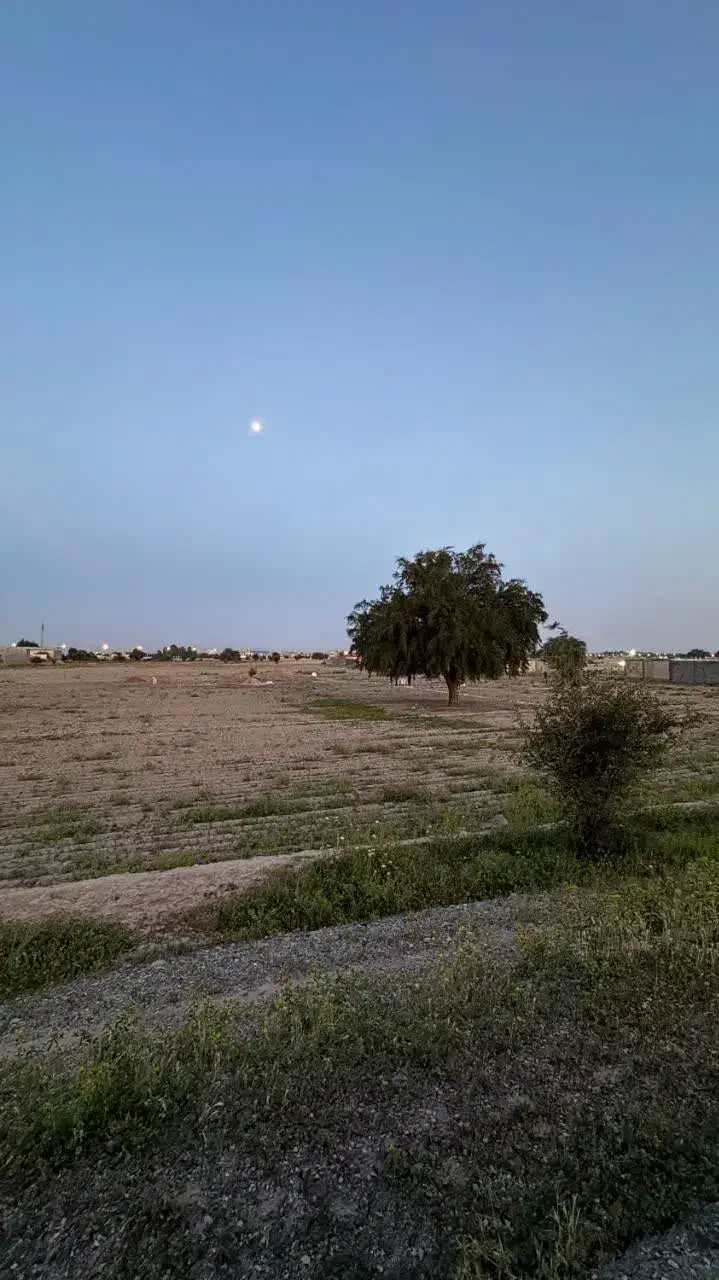 فروش زمین 500متری