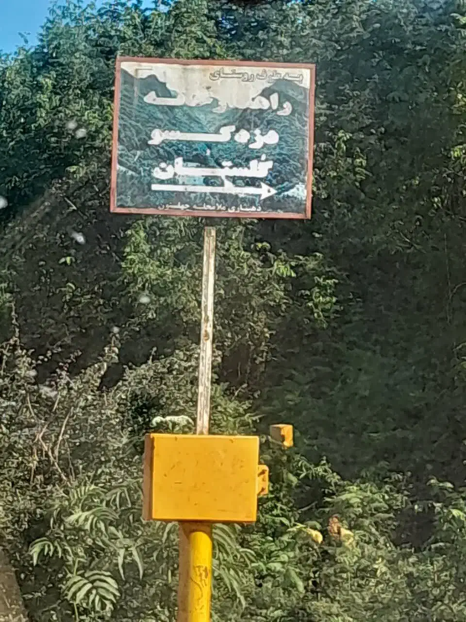 زمین شالی کاری