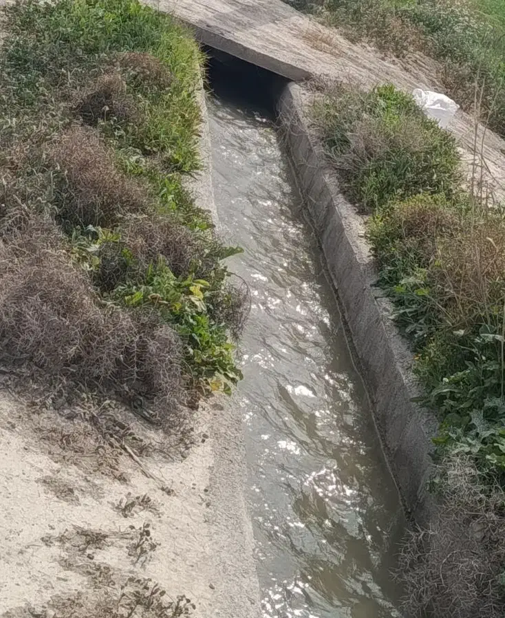 زمین برای سرمایه گذاری