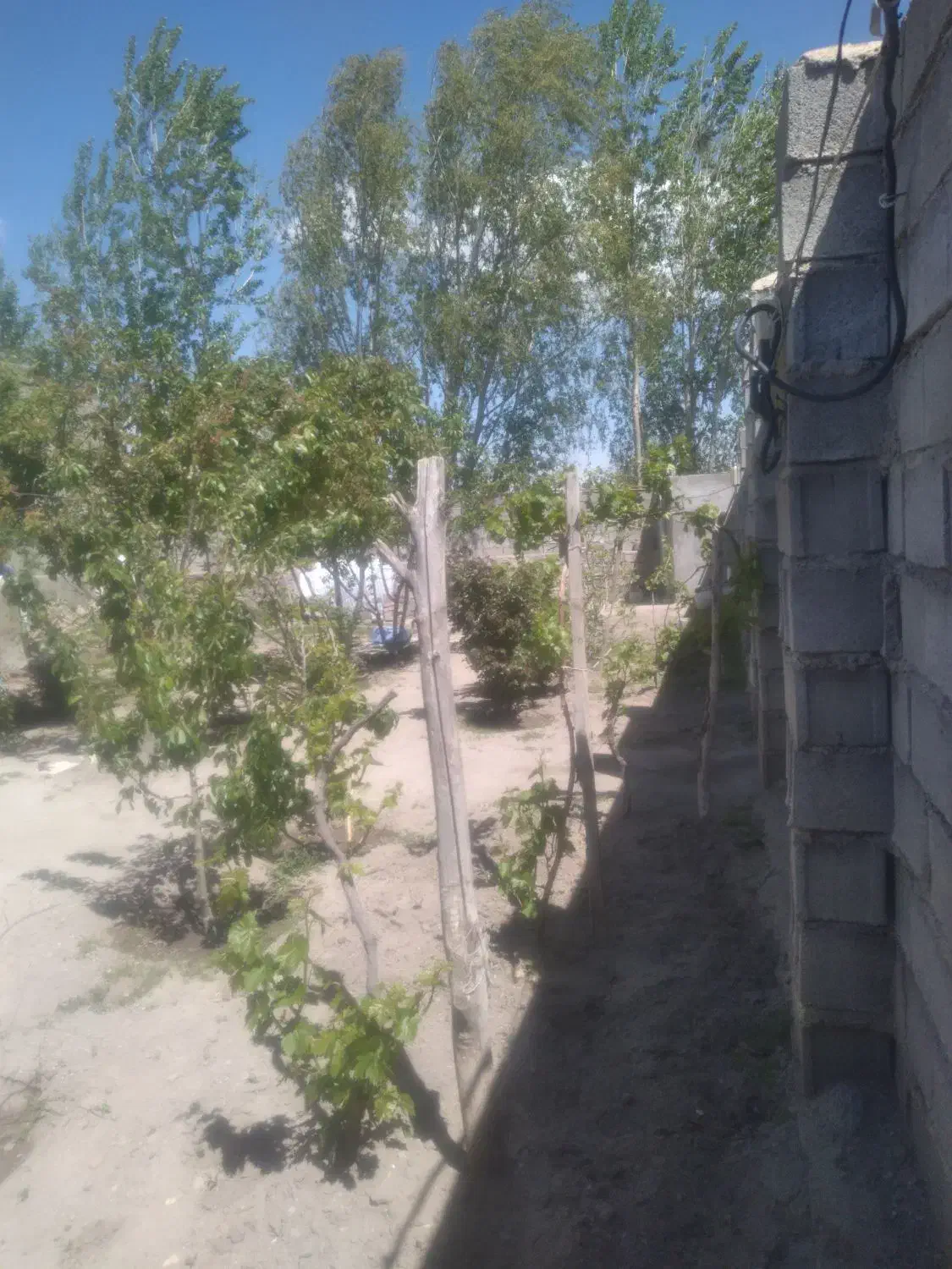 خانه مسکونی درشهر آلئی فروش