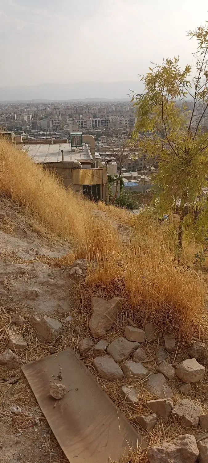زمین فروشی ریاستی