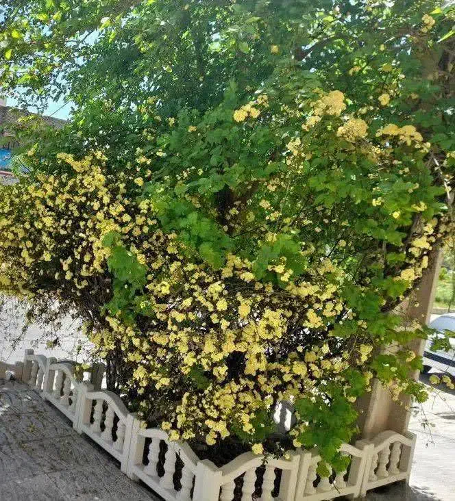 نیایش ایران زمین ۲