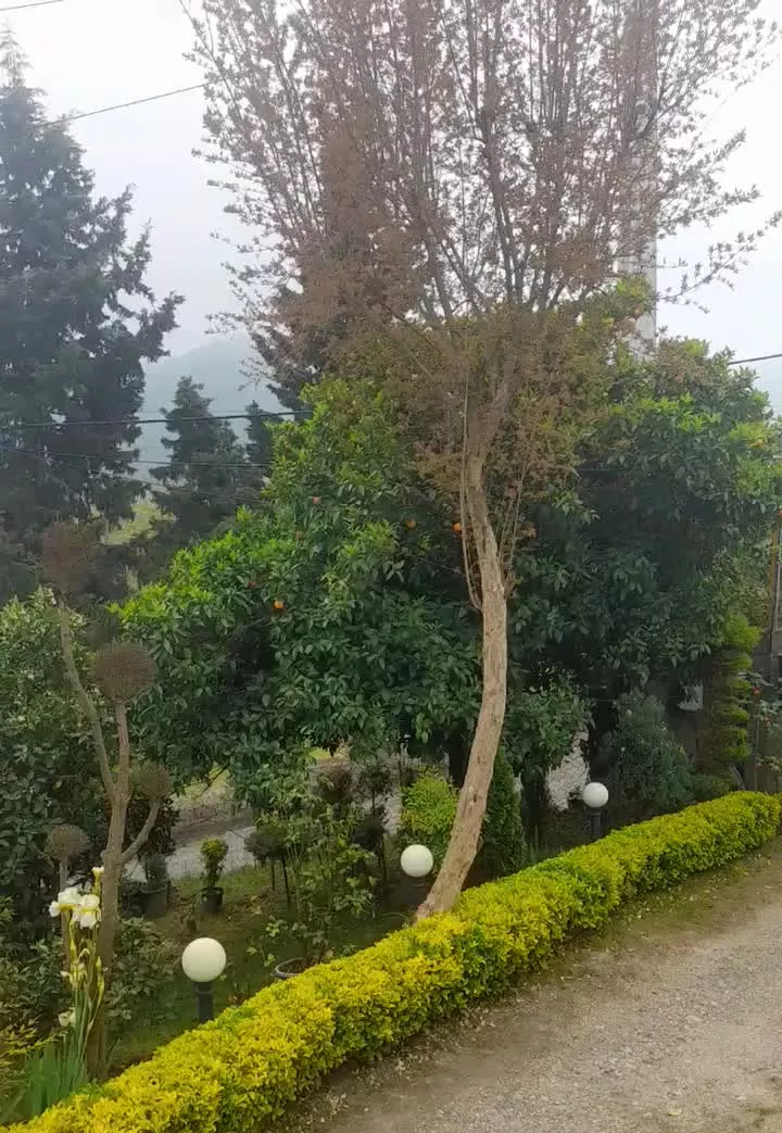 اجاره ماهیانه سالانه ویلای دوخوابه حیاط دار