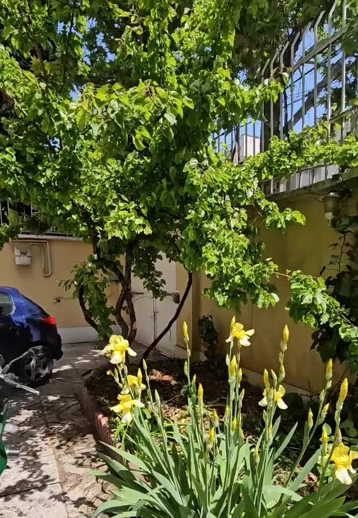 فروش خانه گلنگی در ۳ طبقه ویلایی قابل سکونت