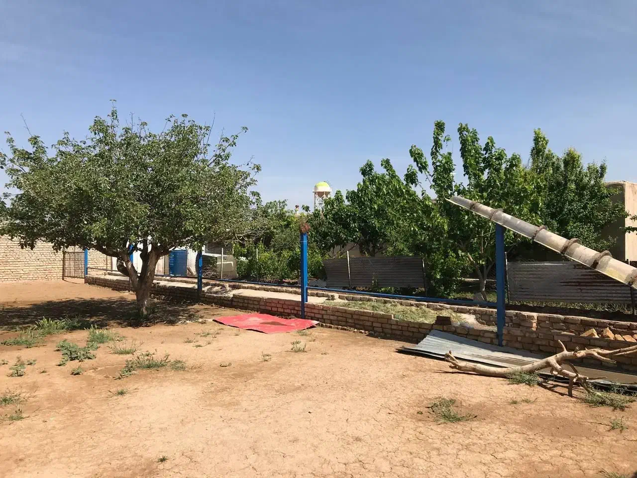 دامداری سنتی