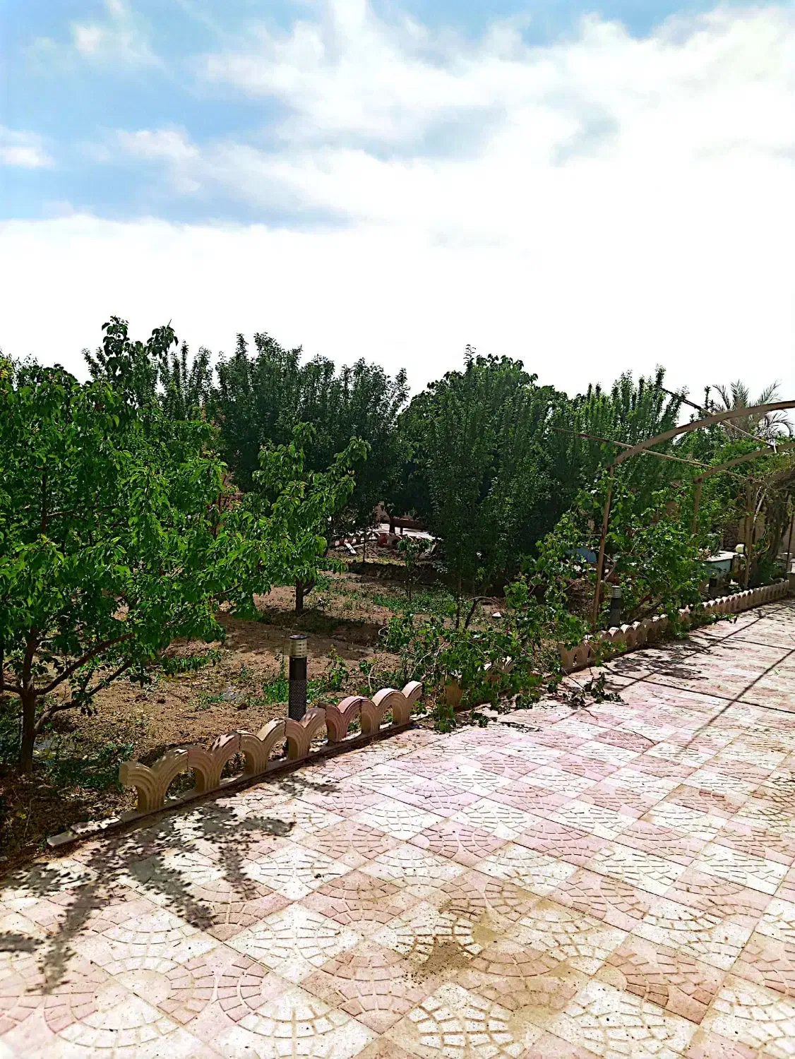 باغ