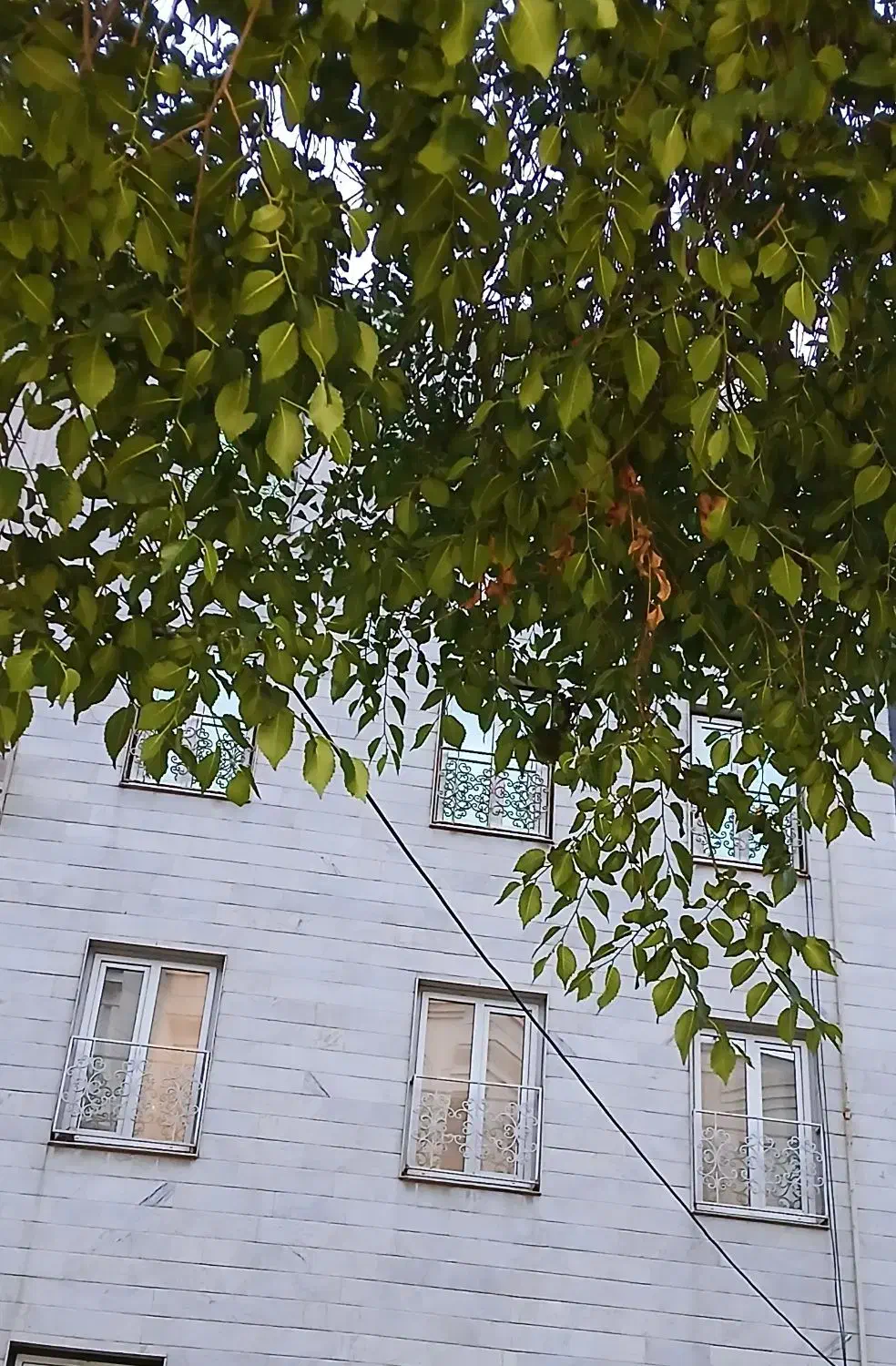 آپارتمان ۶۰ متری جهت اجاره