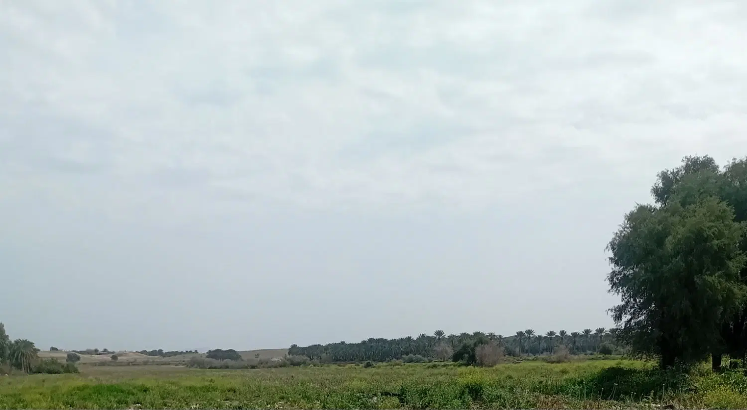 زمین کشاورزی جهت اجاره