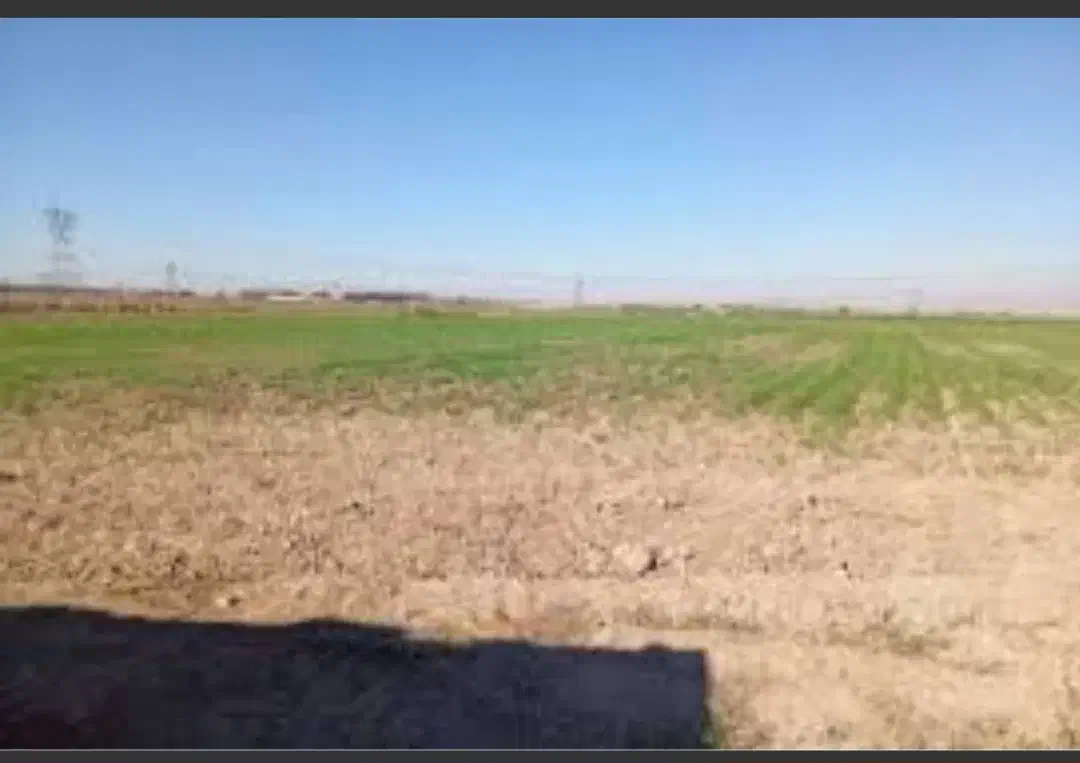 زمین کشاورزی