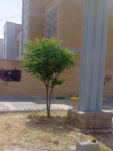 رهن و اجاره خانه ویلایی
