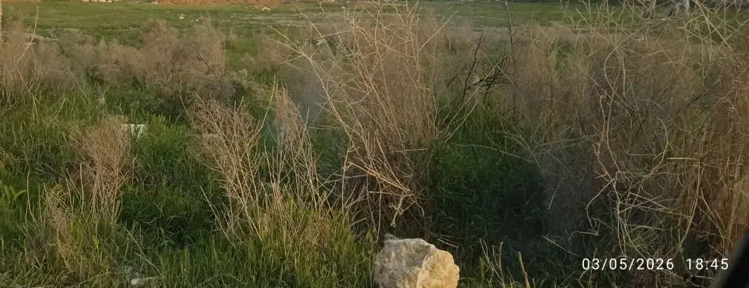 زمین مسکونی دونبش 257 م. روستای داشبند