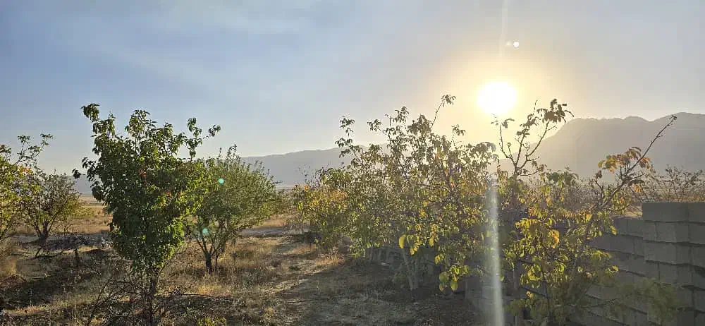 فروش زمین باغ باغچه