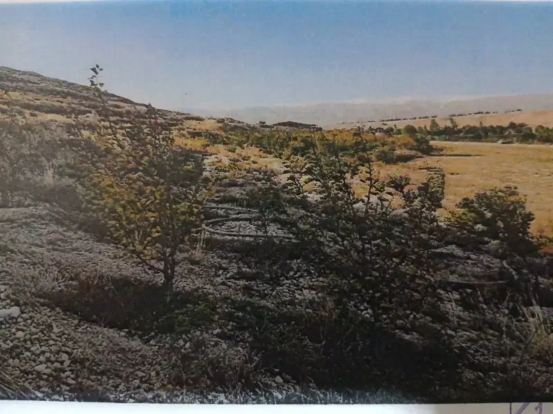 چاه آب و باغ۸ساله