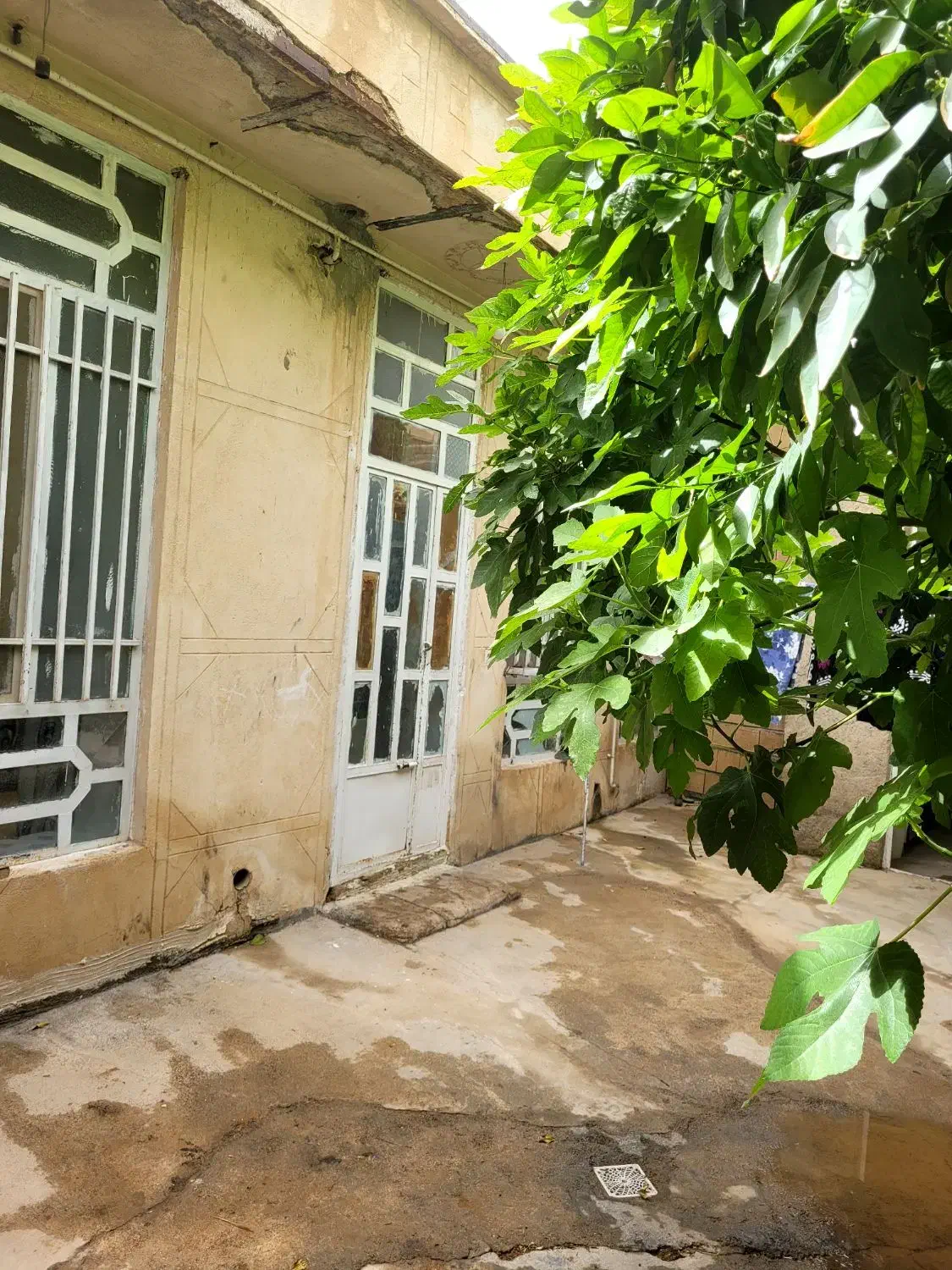 سوئیت اجاره ای