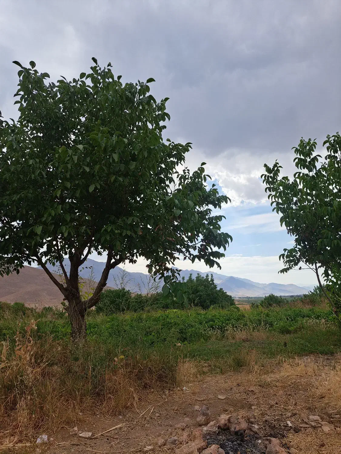 زمین چهار دیواری چهار بر در ایرانچه