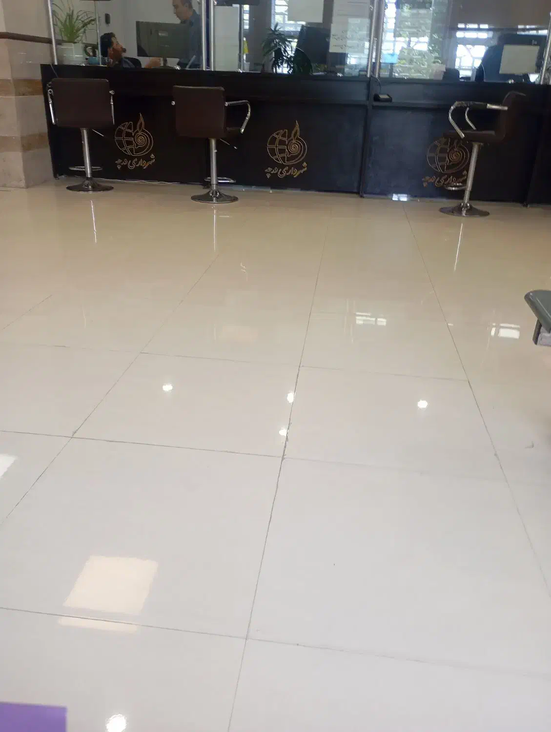 فروش زمین با پروانه بر پرفسور دینانی