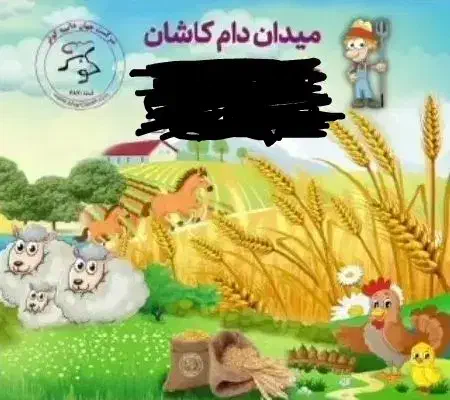 زمین تجاری نمایشگاهی بر بلوار راوند