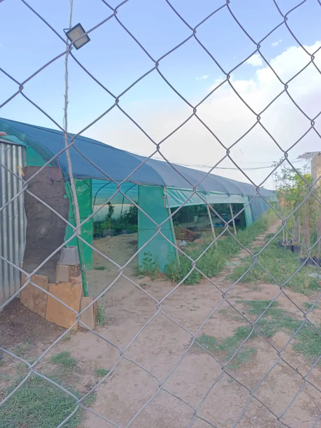 گلخانه 400متری