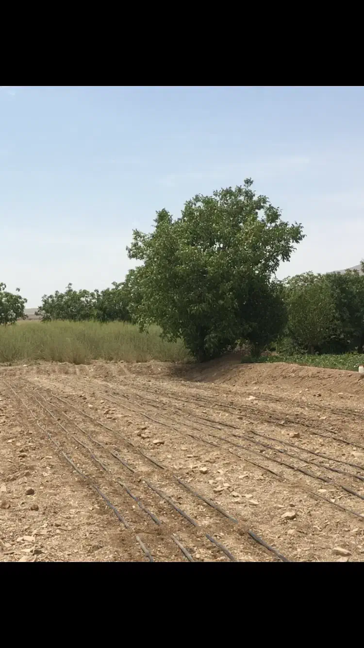 زمین کشاورزی